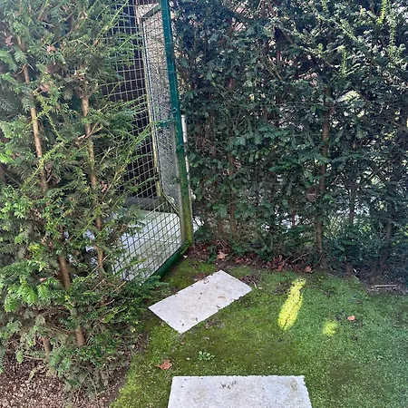 't Zwart Peird * Poperinge
